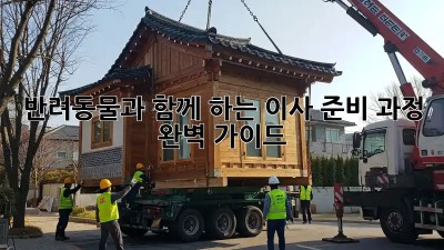 반려동물과 함께 하는 이사 준비 과정 완벽 가이드